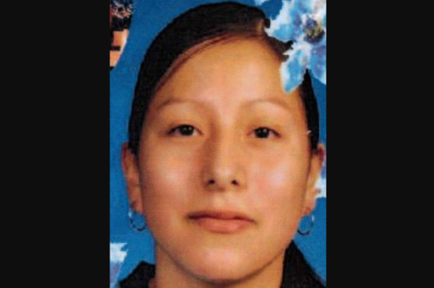 Article Image Alt Text